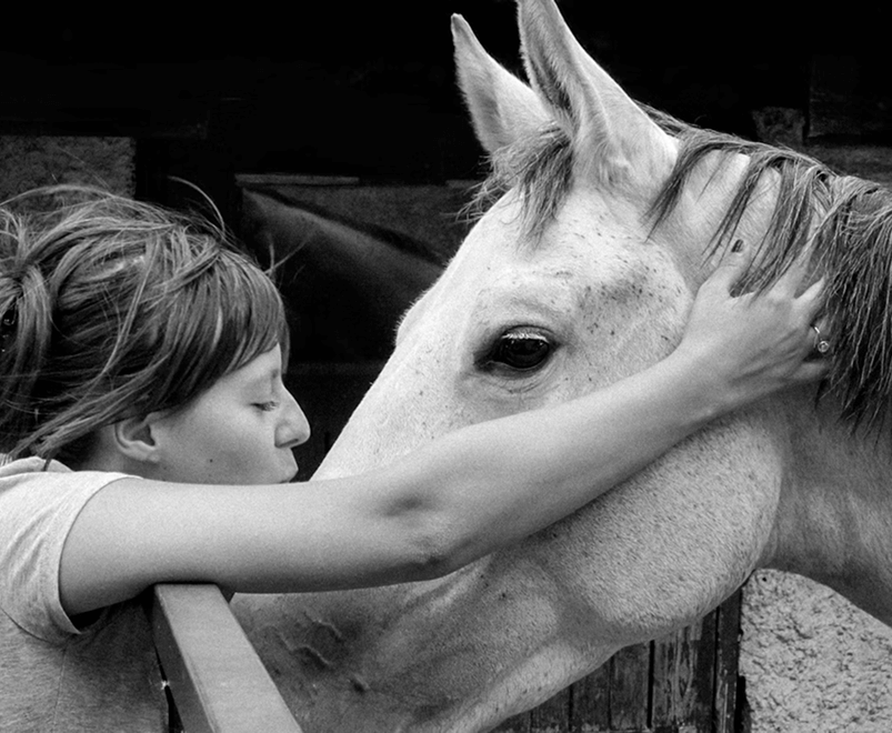 Тренер готує коня у стайні — ілюстрація до переваг платформи HORSIKA