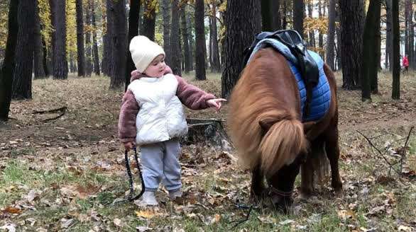 Прогулянка на поні