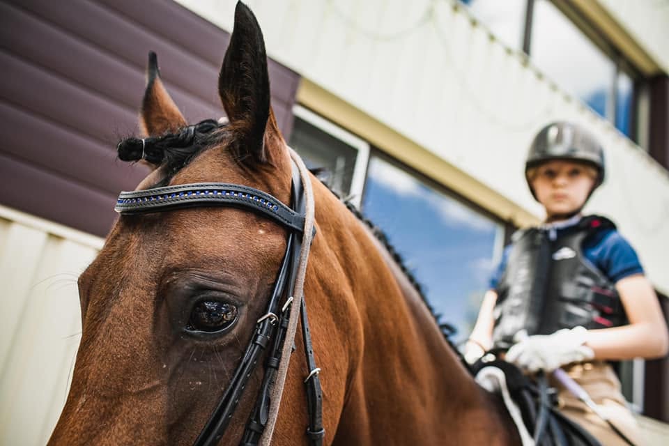 Індивідуальне тренування на коні Sport